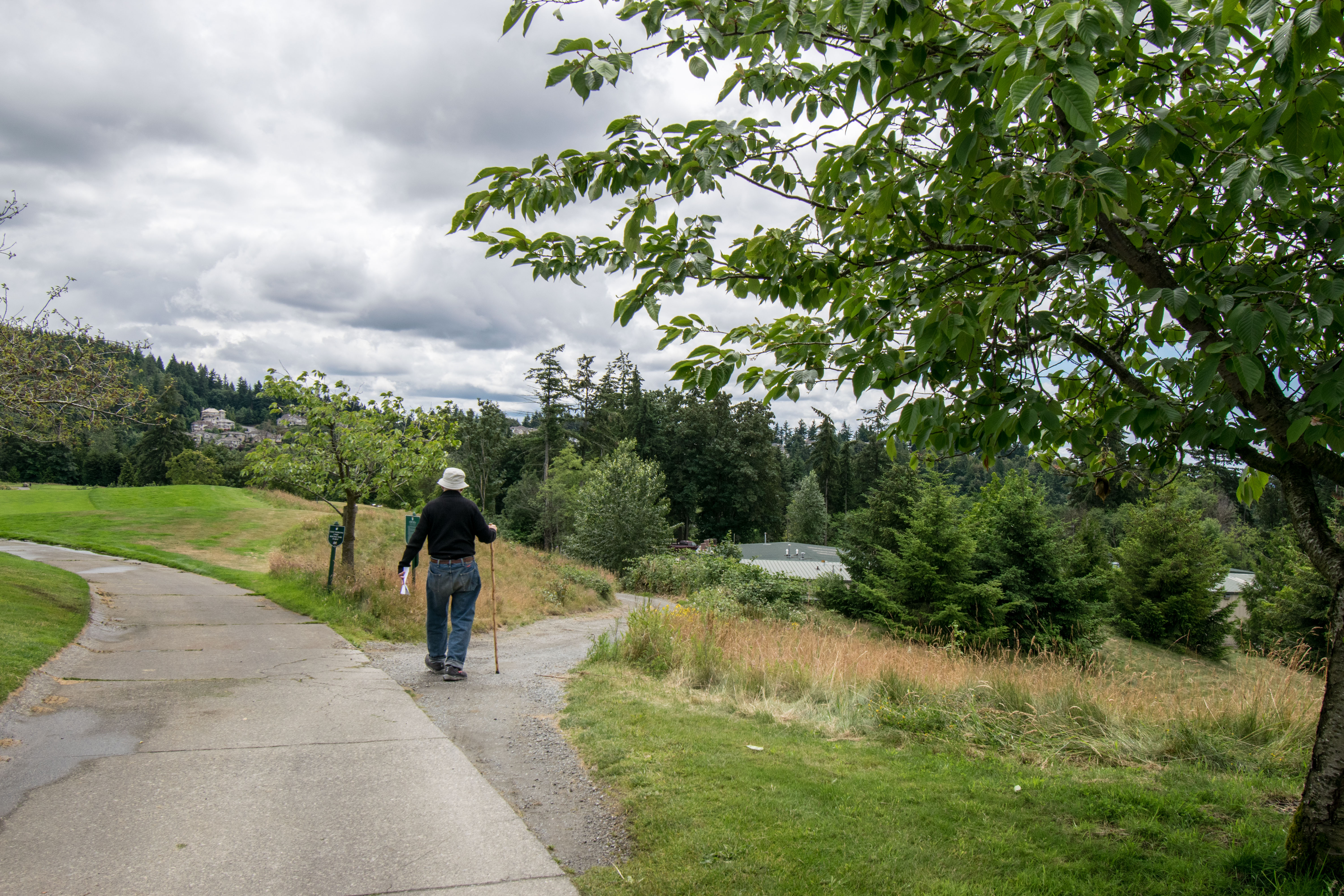 ../images/trails/clubhouse//09 Descending to Meadowview Park.jpg